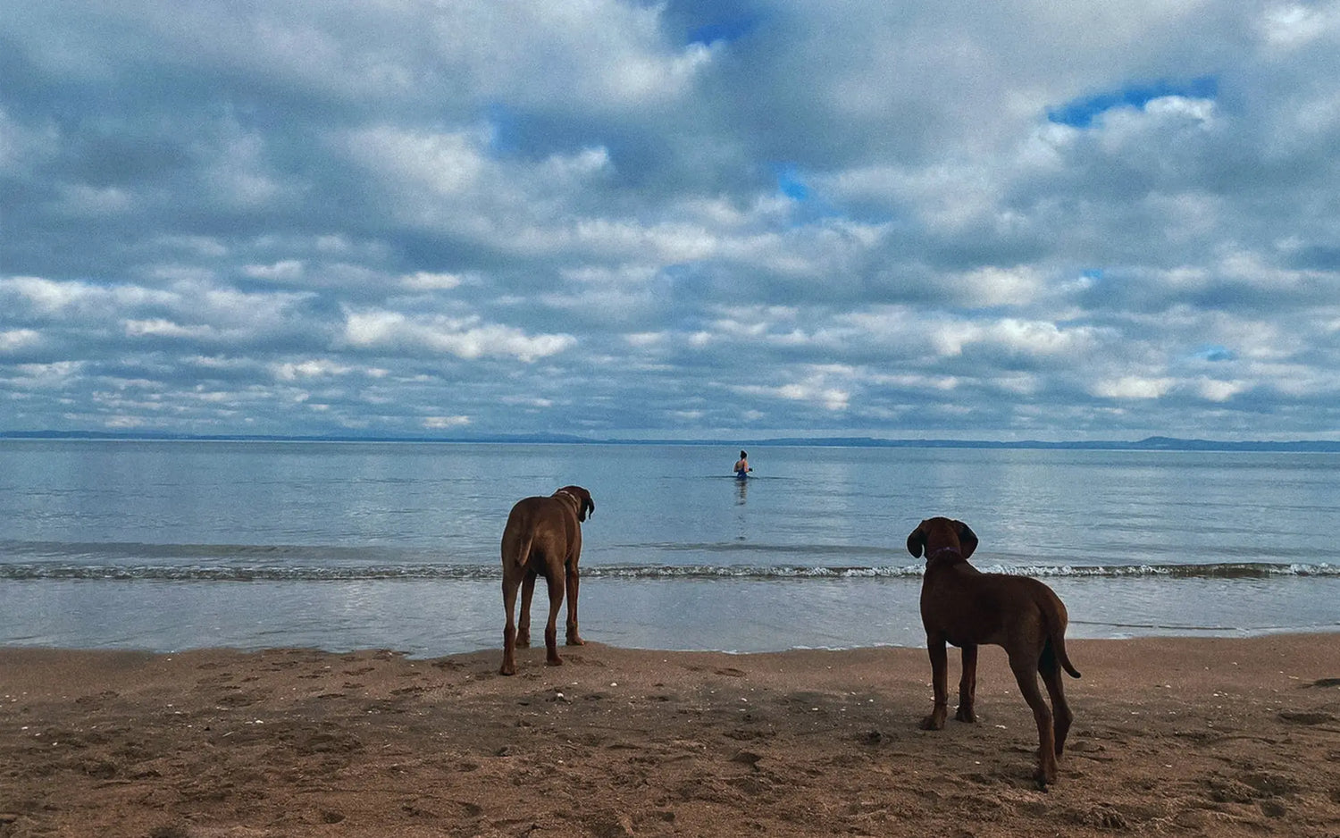 Project Harmless - Community Stories - Meet Siobhan, a wild swimmer in Scotland