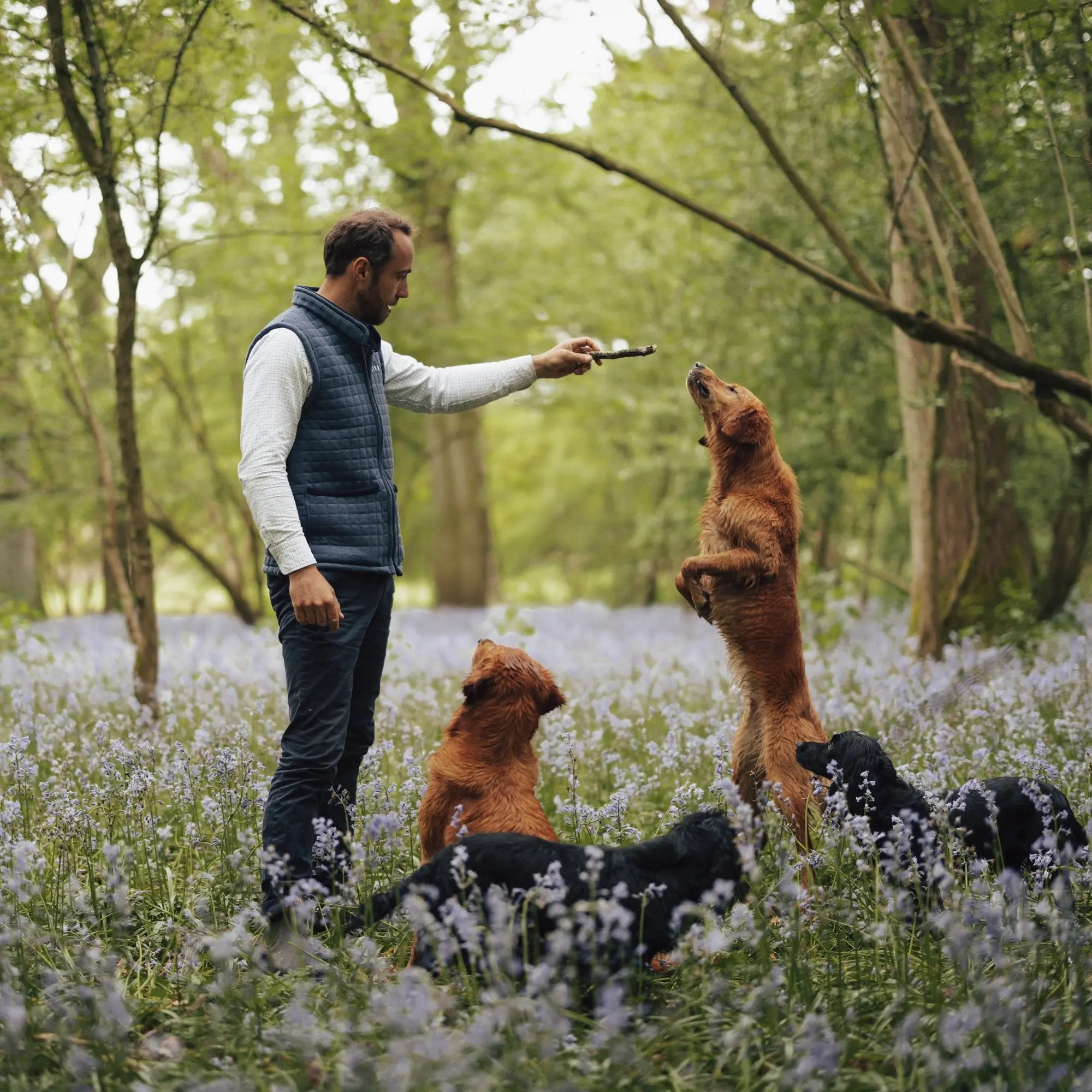 James Middleton in the field with four dogs with dog treats that are stocked by Project Harmless UK.