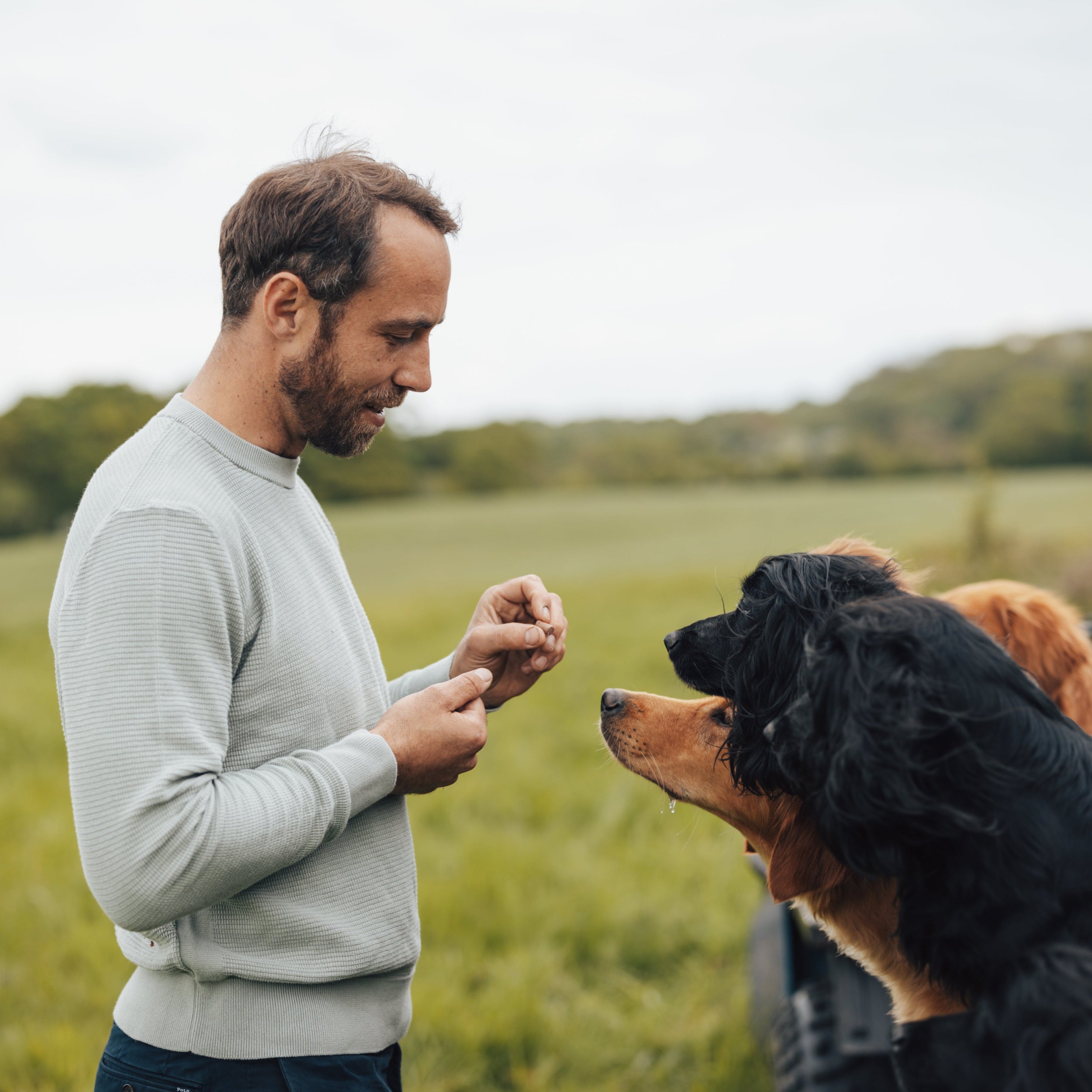 James Middleton standing in a field with five dogs, interacting with one of them with a dog treat stocked by Project Harmless.