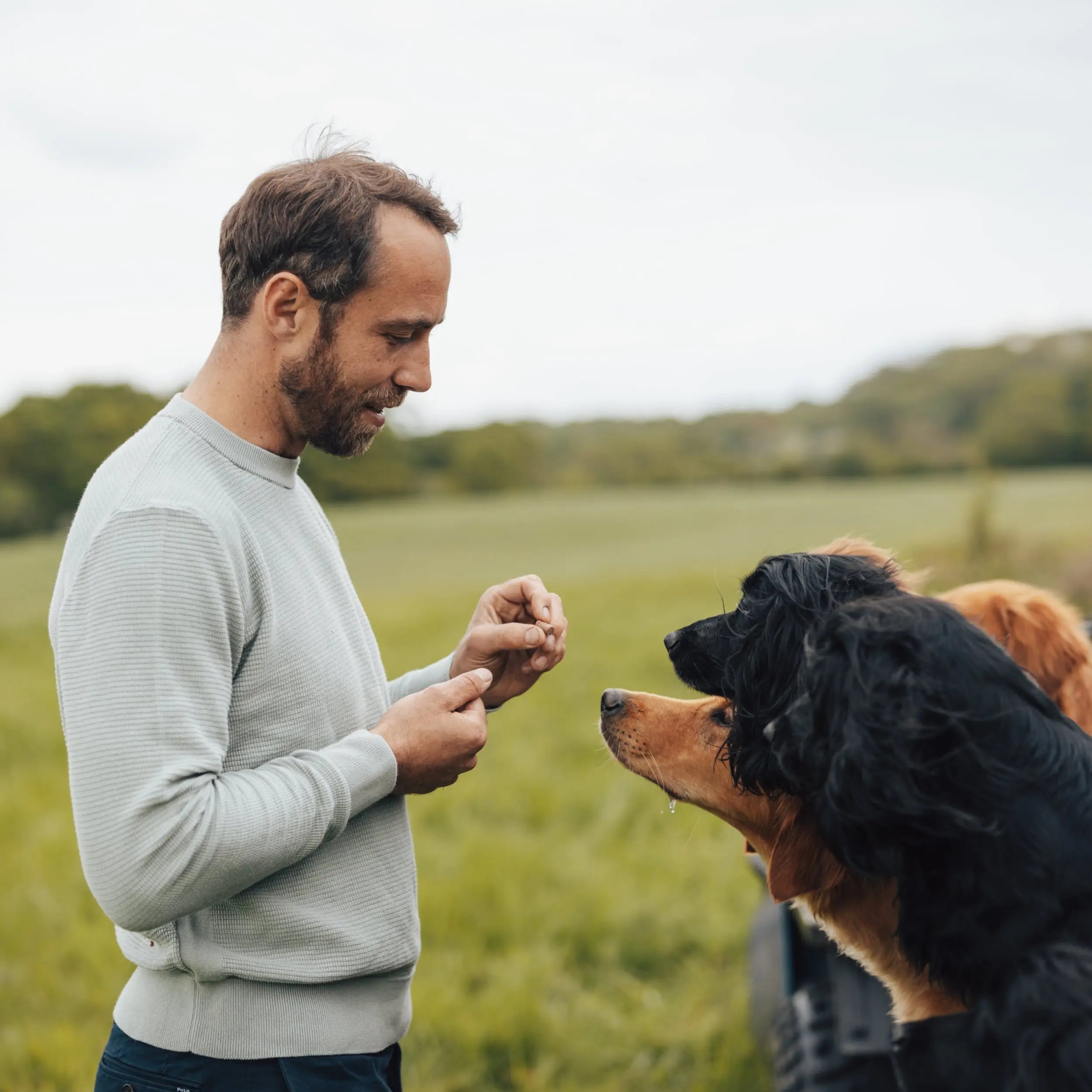 James Middleton standing in a field with five dogs, interacting with one of them with a dog treat stocked by Project Harmless.