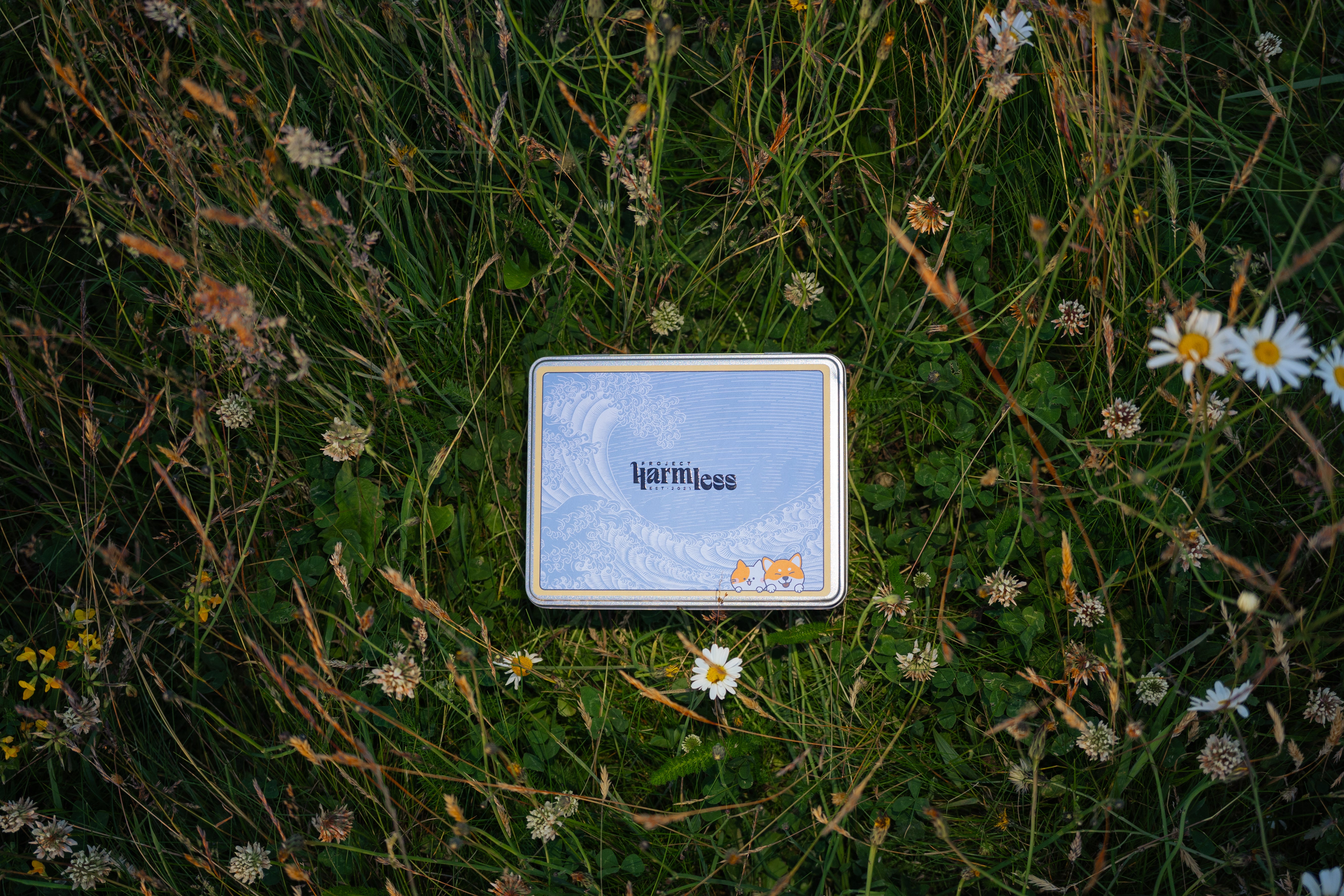 Project Harmless eco-friendly dog poop bag tin in grass with flowers — sustainable and cute pet waste solution