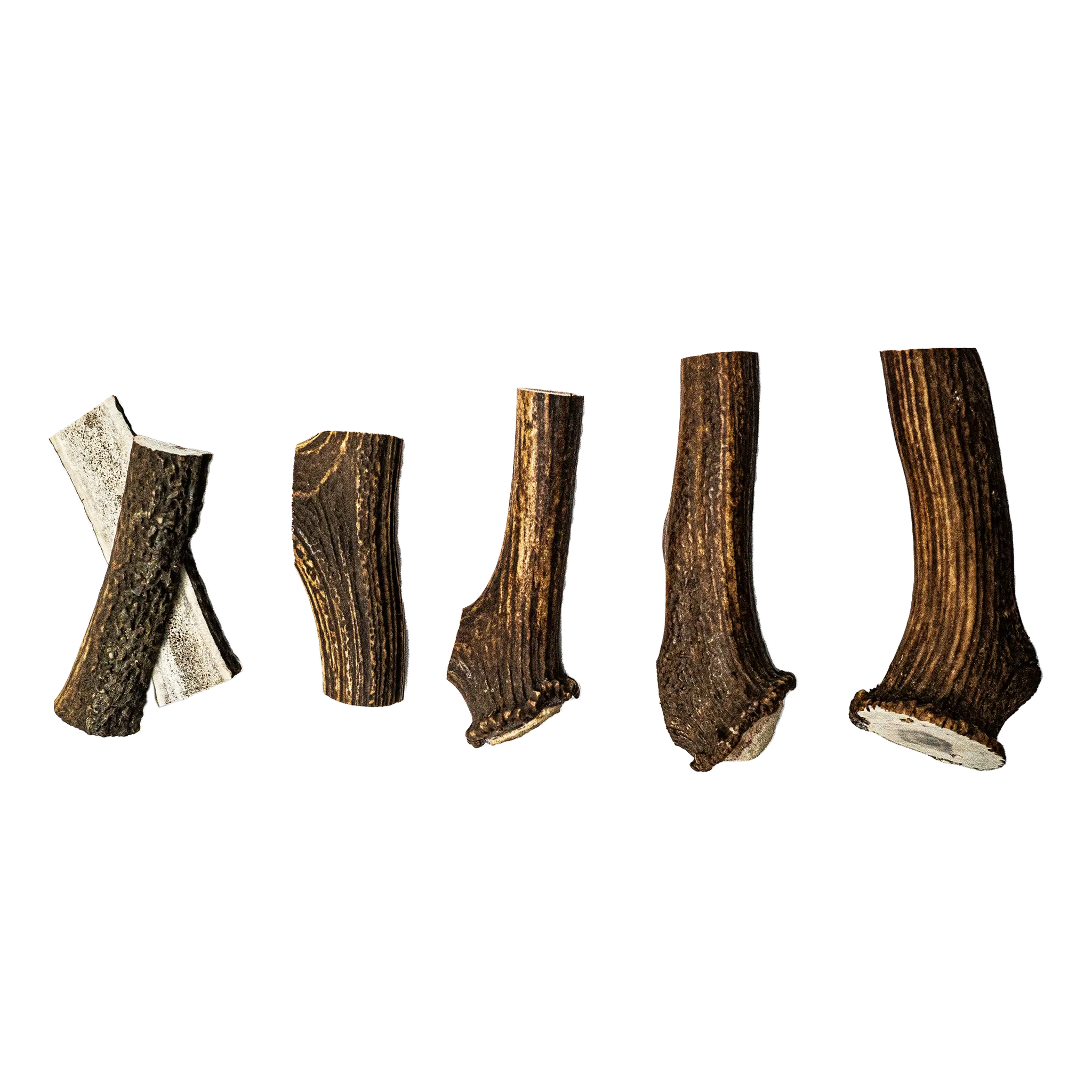 Scottish Deer Antler Dog Chew