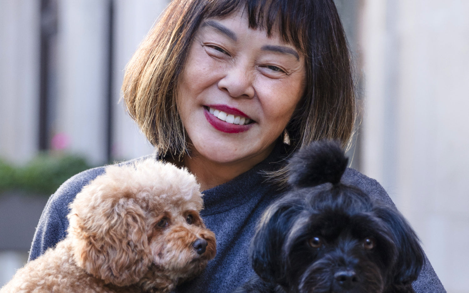 Project Harmless advocate, May Wong and her 2 dogs, George and Lu Lu, in London, England.