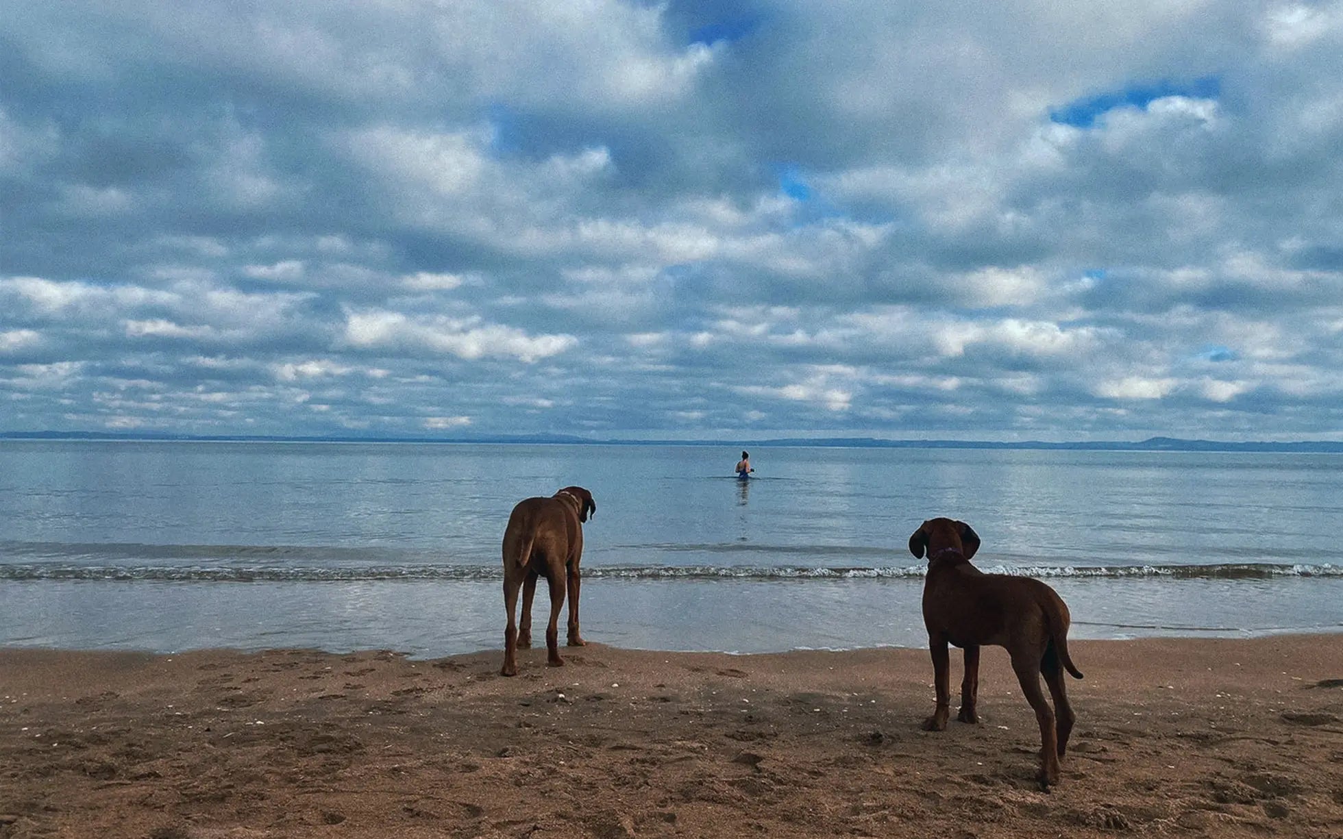 Project Harmless - Community Stories - Meet Siobhan, a wild swimmer in Scotland  