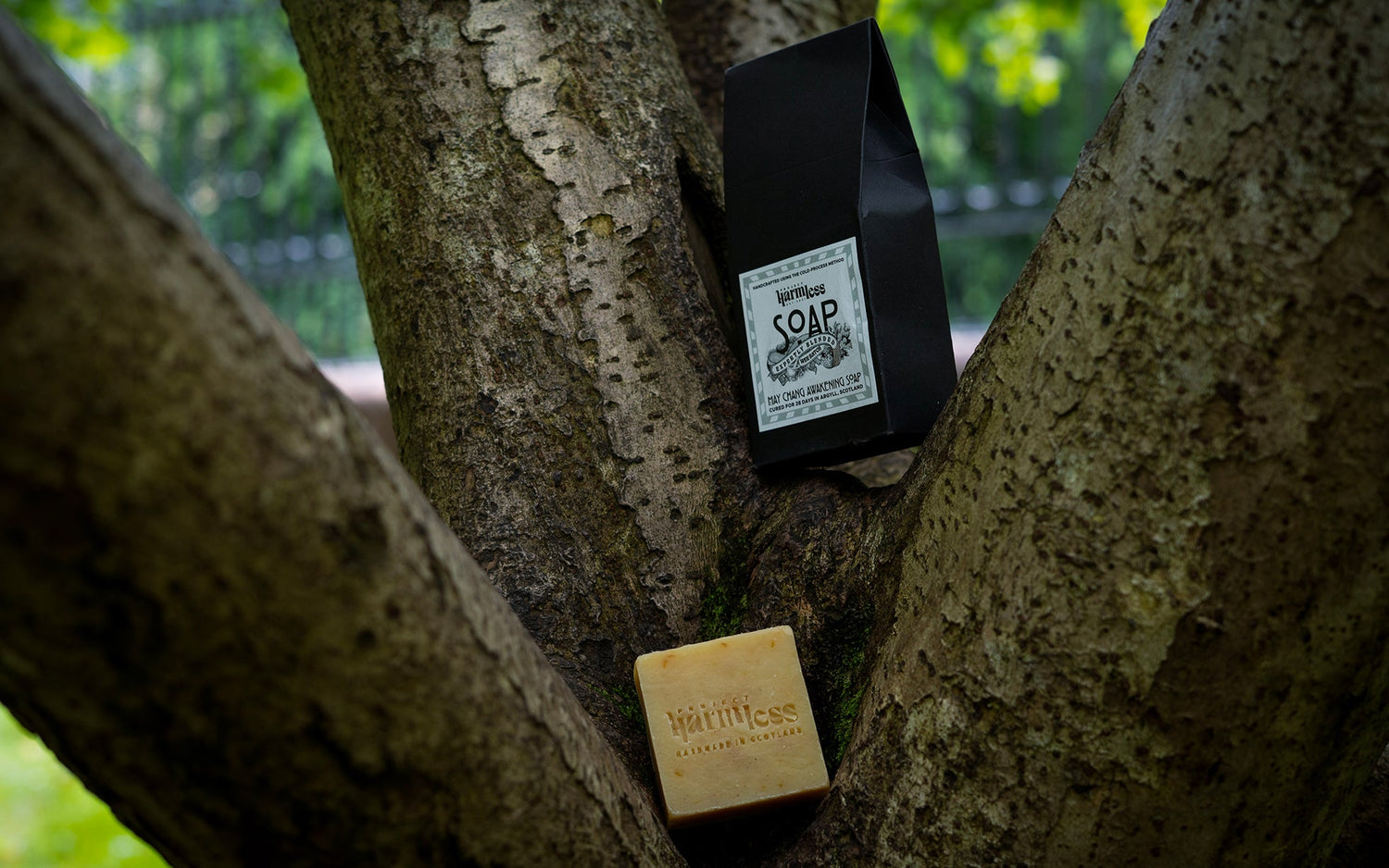 Handmade Project Harmless palm oil free soap and eco-friendly packaging displayed on a tree, promoting sustainable skincare and zero-waste living