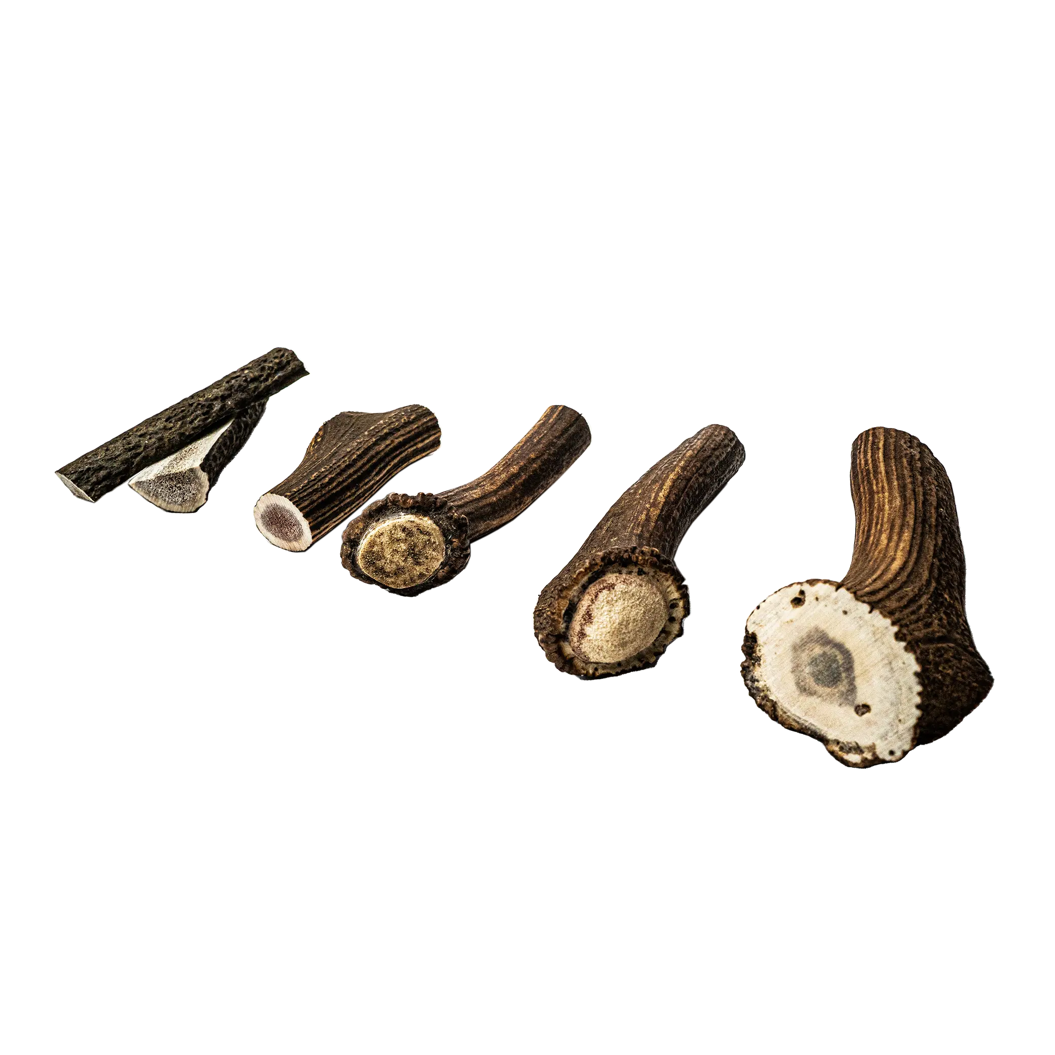 Project Harmless Scottish Highland deer antler dog chew full range side view split small medium large x-large