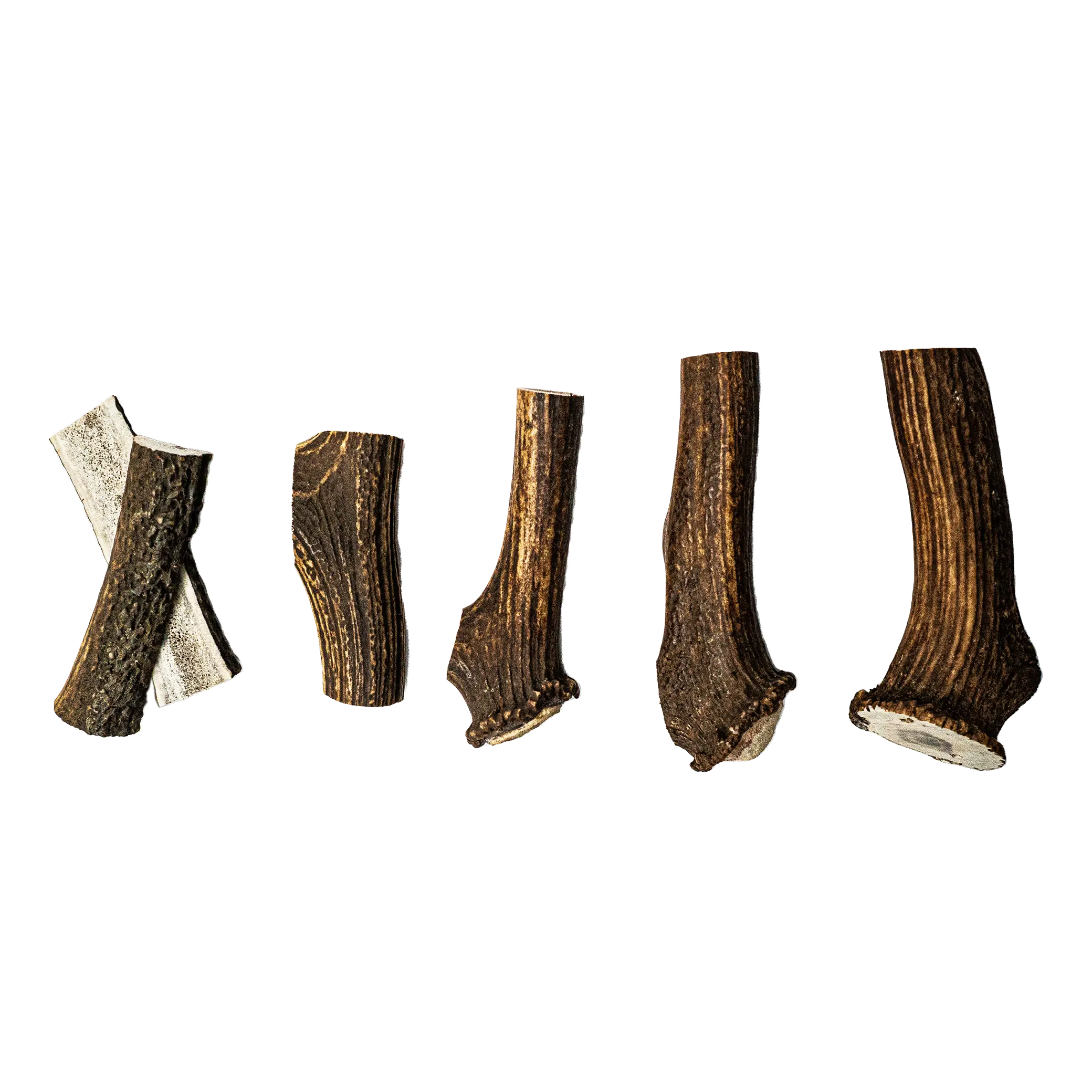 Project Harmless Scottish Highland deer antler dog chew full range split small medium large x-large