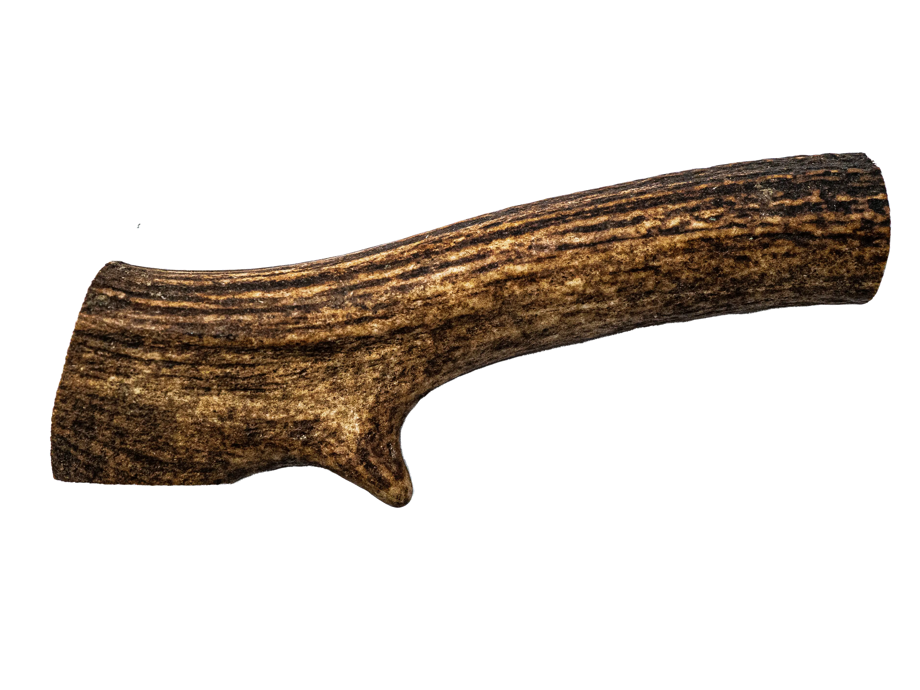 Project Harmless Scottish Highland deer antler dog chew x-large 150g plus